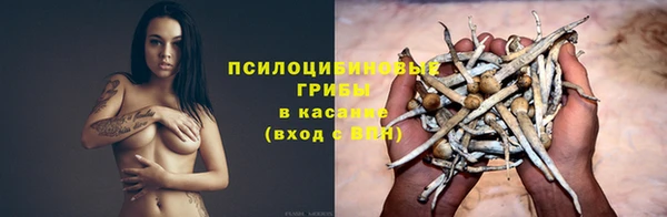стаф Баксан