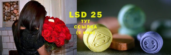 стаф Баксан