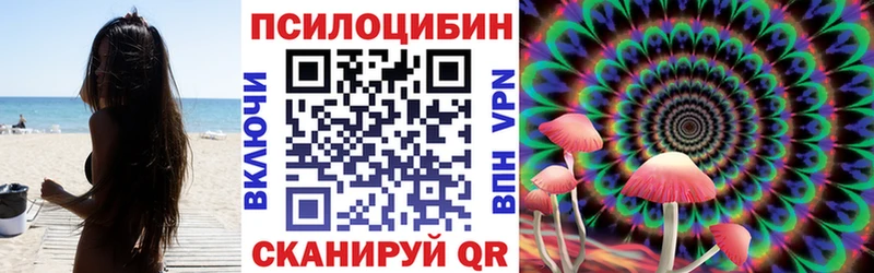 Галлюциногенные грибы прущие грибы  Белёв 